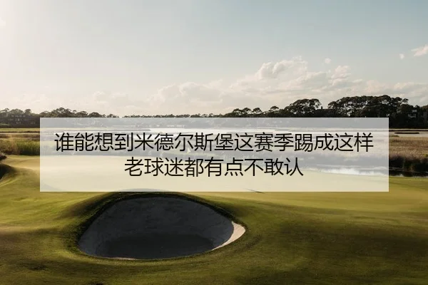 谁能想到米德尔斯堡这赛季踢成这样 老球迷都有点不敢认