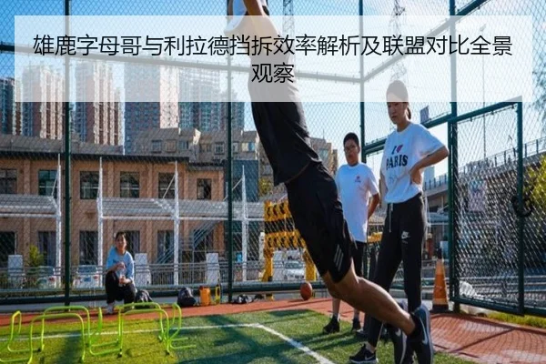 雄鹿字母哥与利拉德挡拆效率解析及联盟对比全景观察 | leyu