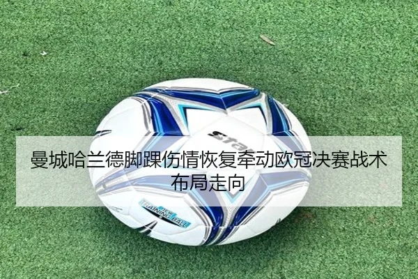 曼城哈兰德脚踝伤情恢复牵动欧冠决赛战术布局走向 | leyu
